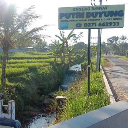 Putri Duyung Guest House Karangpandan Exterior photo